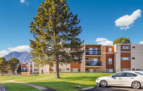A white car is parked in front of a building with a tree in the foreground.