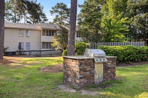Grill Station at River Crossing Apartments, Georgia, 31404