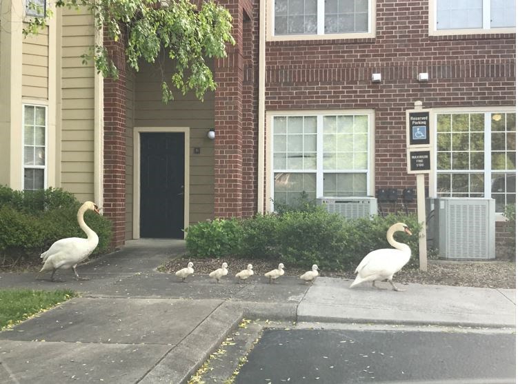 Bridford Lake Apartments