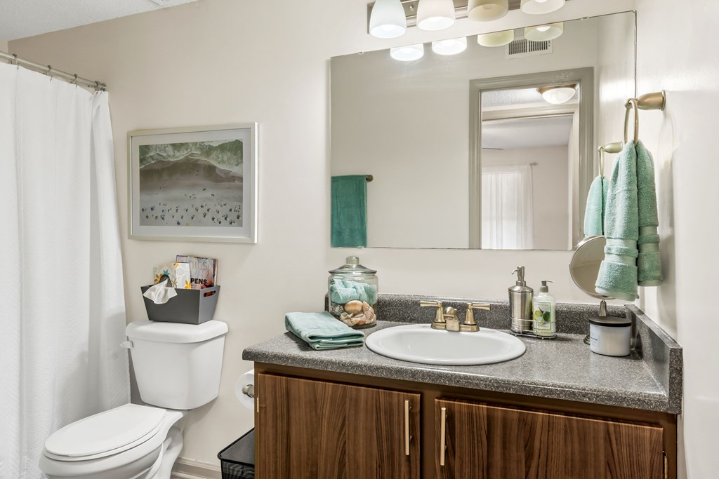Bathroom  at Lofts of Wilmington Apartments, Wilmington, 28405