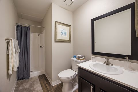 Bathroom with a toilet sink and mirror and a shower at 2900 Lux Apartment Homes, Nevada