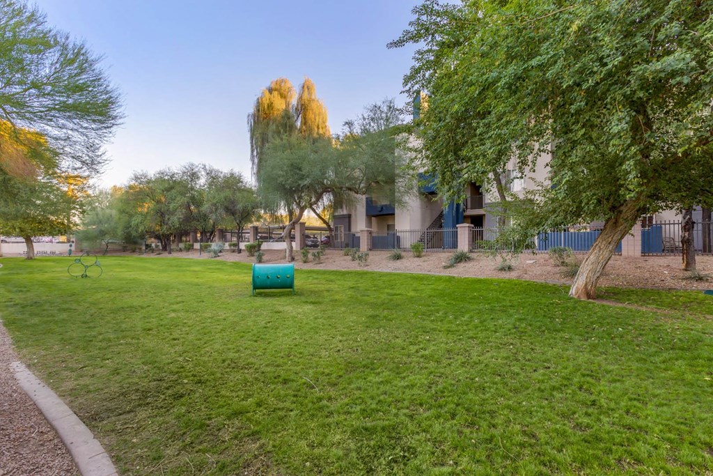 Dog Park at Sweetwater At Metro North, Phoenix, AZ, 85029