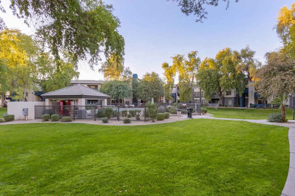 Lush Green Outdoor at Sweetwater At Metro North, Phoenix, Arizona