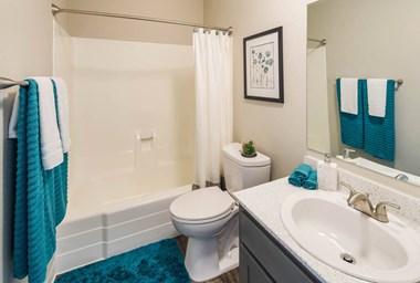 Luxurious Bathroom at 2900 Lux Apartment Homes, Las Vegas, Nevada - Photo Gallery 5