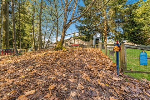 Dog Park at Arcadia Townhomes, Federal Way, Washington