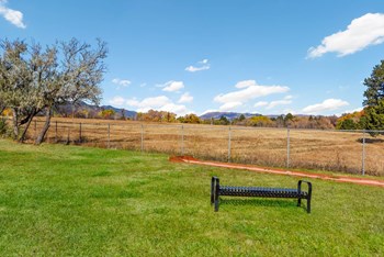 Picnic Area Picnic Area at Broadmoor Springs, Colorado Springs, Colorado - Photo Gallery 3
