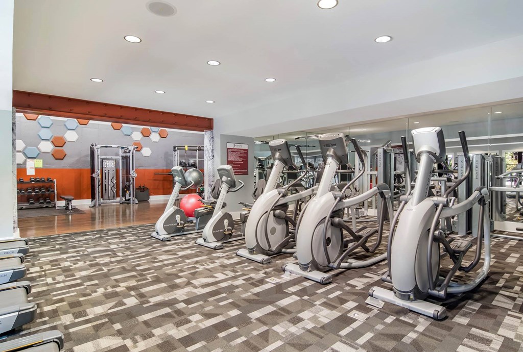 Fitness Center with Cardio Machines at Canopy Glen, Georgia