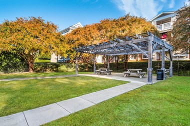 Courtyard With Bbq Area And Lush Gardens at Cedar Springs Apartments, Raleigh - Photo Gallery 3