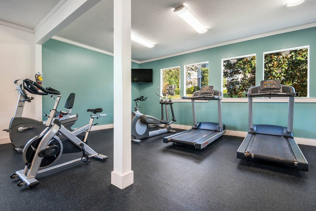 Modern Fitness Center at Cedar Springs Apartments, North Carolina