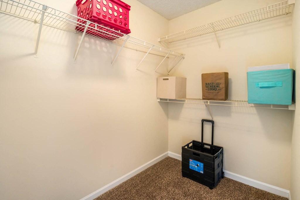 Generous Walk-In Closets With Shelving at Cedar Springs Apartments, Raleigh, NC