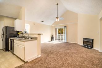 5500 Reunion Point 1-2 Beds Apartment for Rent - Photo Gallery 1