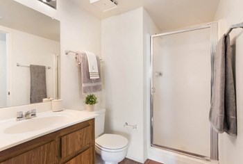 Master Bathroom 843 South Longmore 1-2 Beds Apartment for Rent - Photo Gallery 5