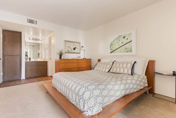 Master Bedroom 843 South Longmore 1-2 Beds Apartment for Rent - Photo Gallery 4