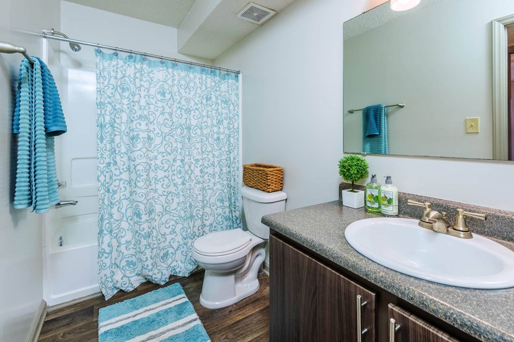 Full Bathroom at Lofts of Wilmington, Wilmington, NC, 28405