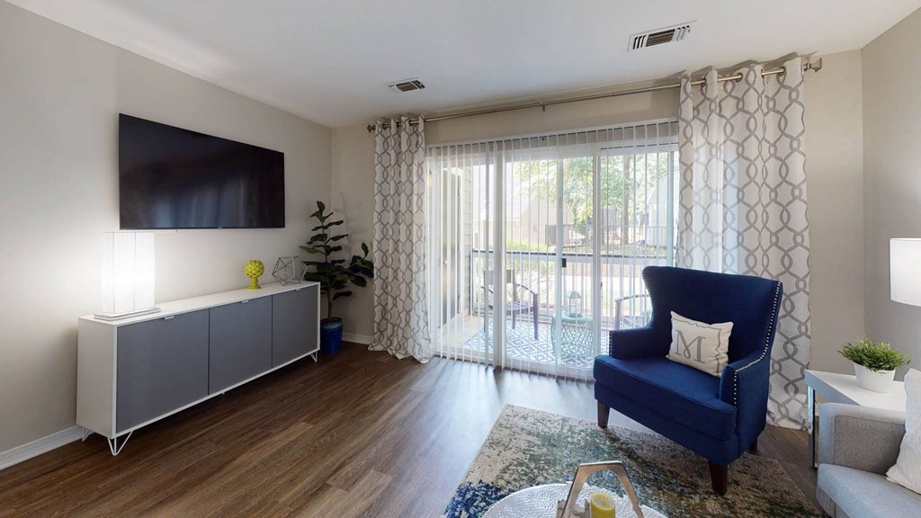 Spacious Living Room with TV at Montclair Apartments, Silver Spring, Maryland