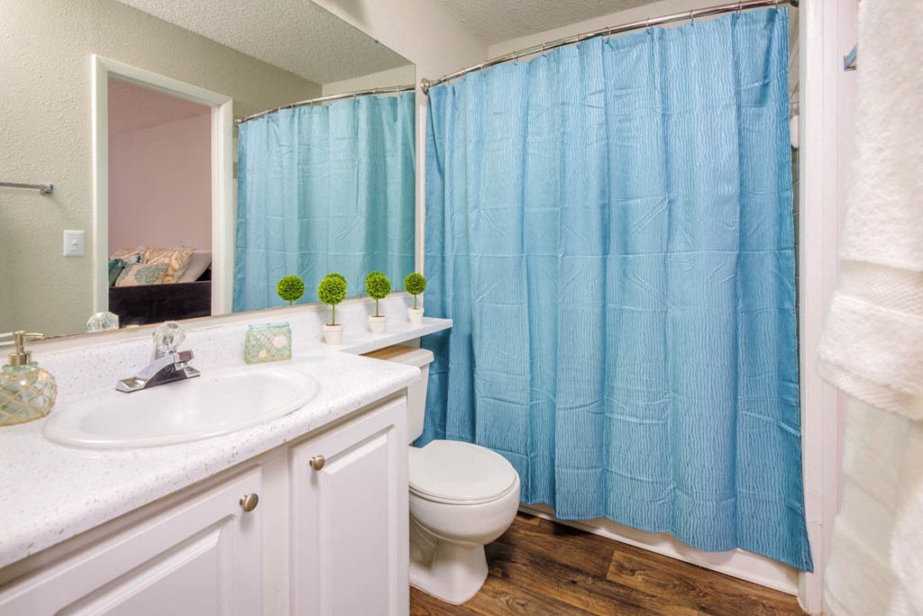 Luxurious Bathroom at The Pointe at Irving Park, North Carolina, 27408