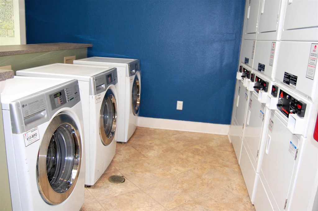 Community Laundry Area at The Pointe at Irving Park, Greensboro