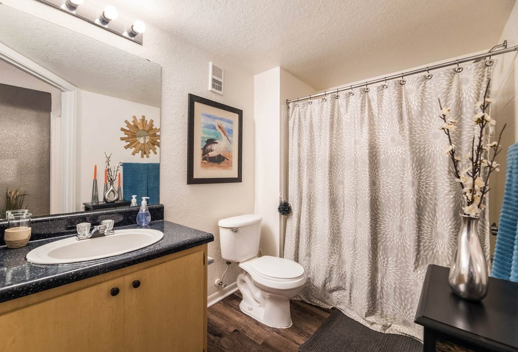 Full Bathroom at University Park Apartments, Florida