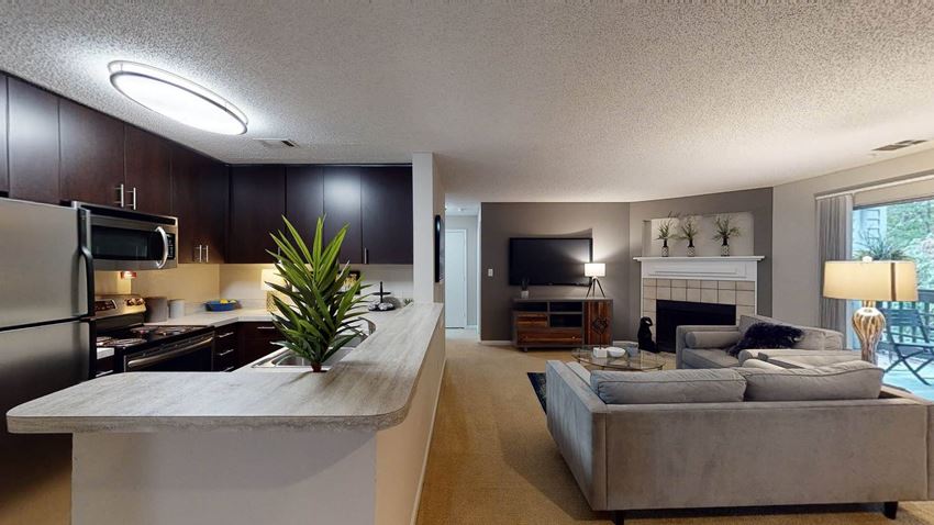 Open Concept Layout Open Concept Layout at University Ridge Apartments, Durham, North Carolina - Photo Gallery