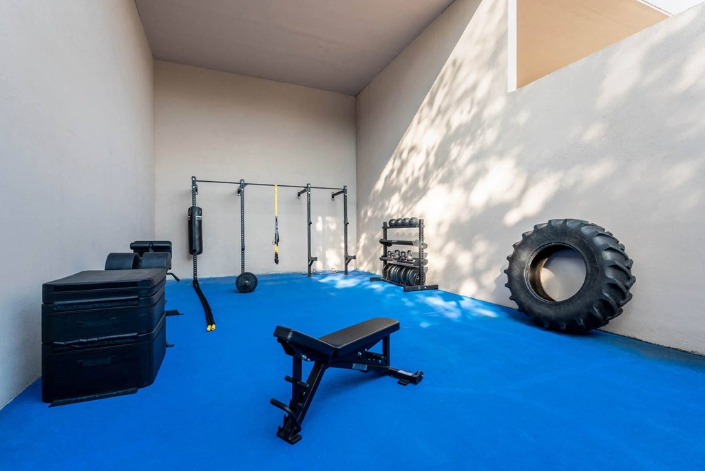 Gym Equipment at Whisper Lake Apartments, Winter Park
