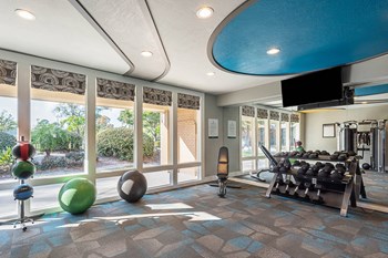 24 Hour Fitness Center 24 Hour Fitness Center at Whisper Lake Apartments, Winter Park - Photo Gallery 5