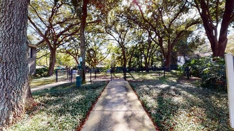 Exterior Walking Path at The Arbor Walk Apartments, Tampa