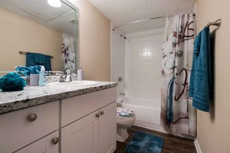 Bathroom with a shower and a sink at The Glen at Highpoint, Dallas, TX, 75243