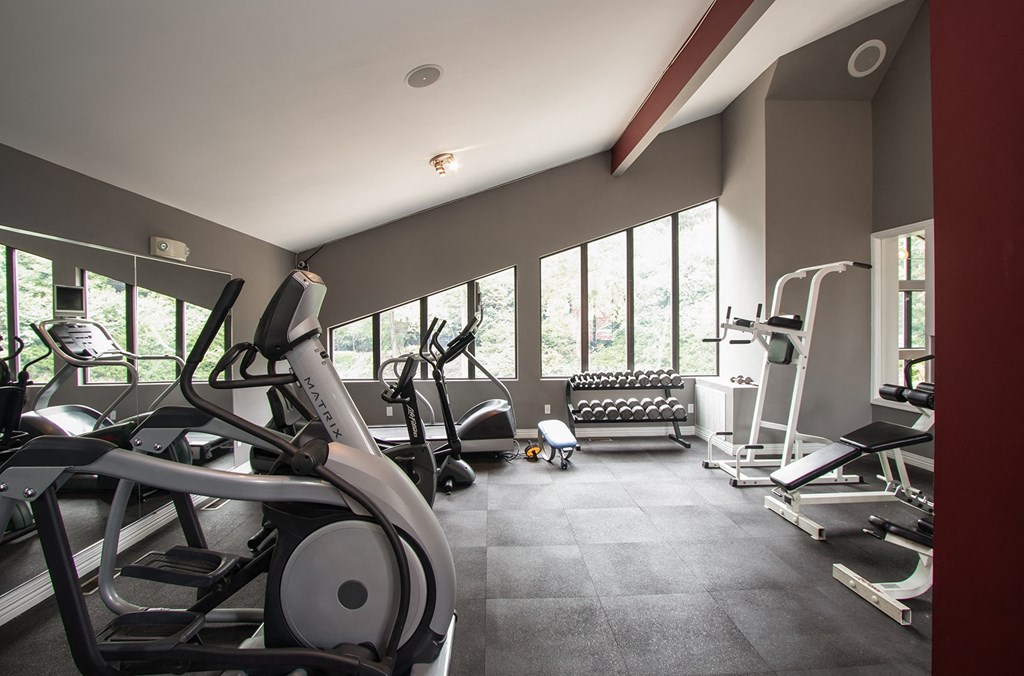 Fitness Center at Millennium at Creve Coeur, Creve Coeur, MO, 63141
