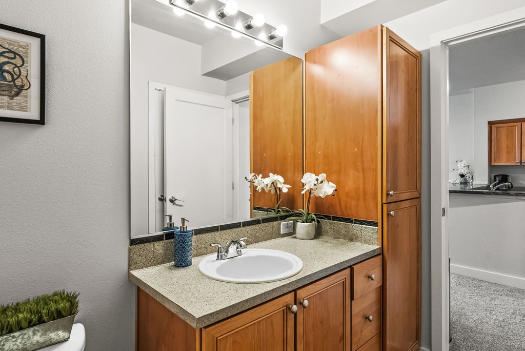A bathroom with a sink, mirror, and wooden cabinets.