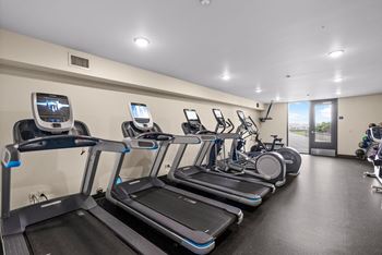 A row of treadmills are lined up in a gym.