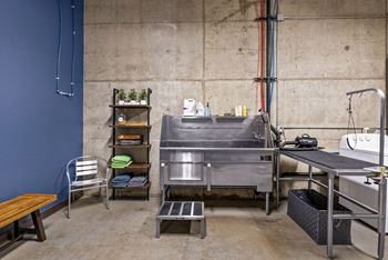 A kitchen area with a stainless steel sink and a blue wall.