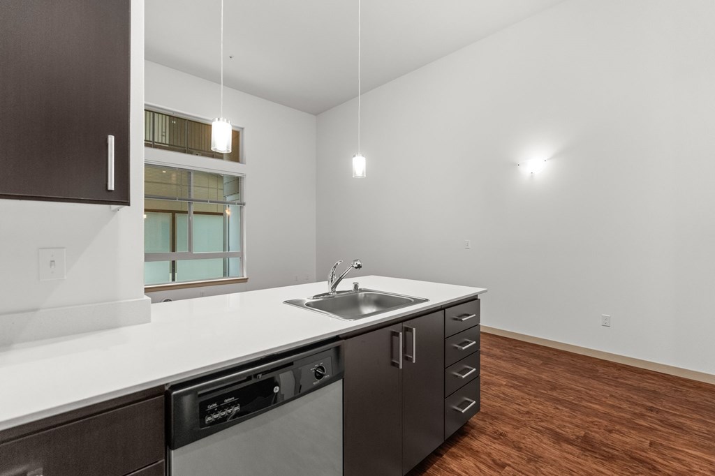A kitchen with a white counter top and a black dishwasher.
