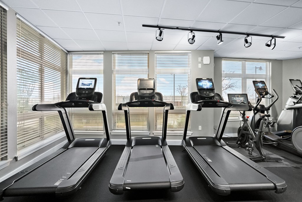 Three treadmills are lined up in a row in a bright room.