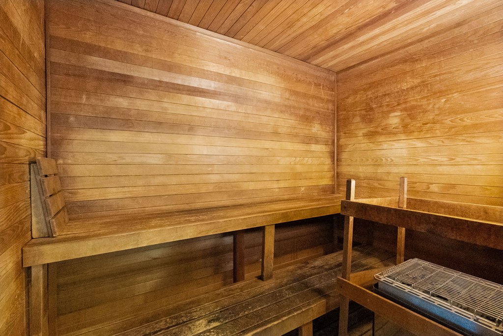 A wooden sauna with benches and a door.