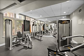 A gym with a variety of equipment including a treadmill, a weight bench and a squat rack.