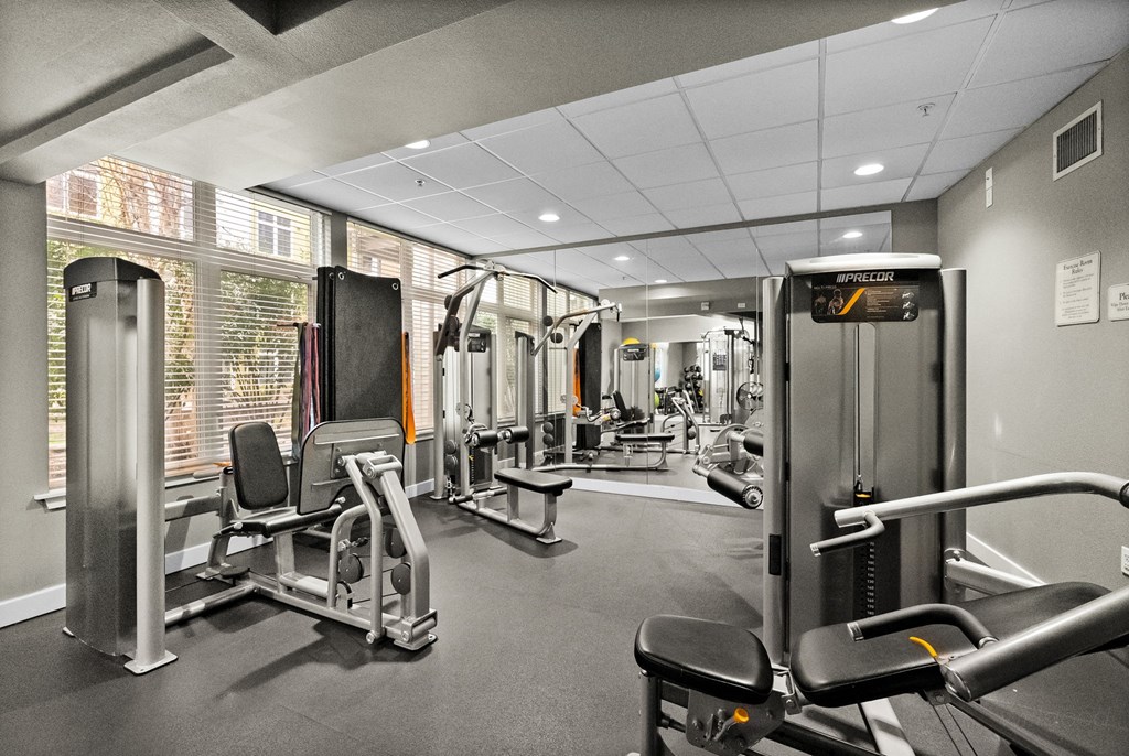 A gym with a variety of equipment including a treadmill, a weight bench and a squat rack.