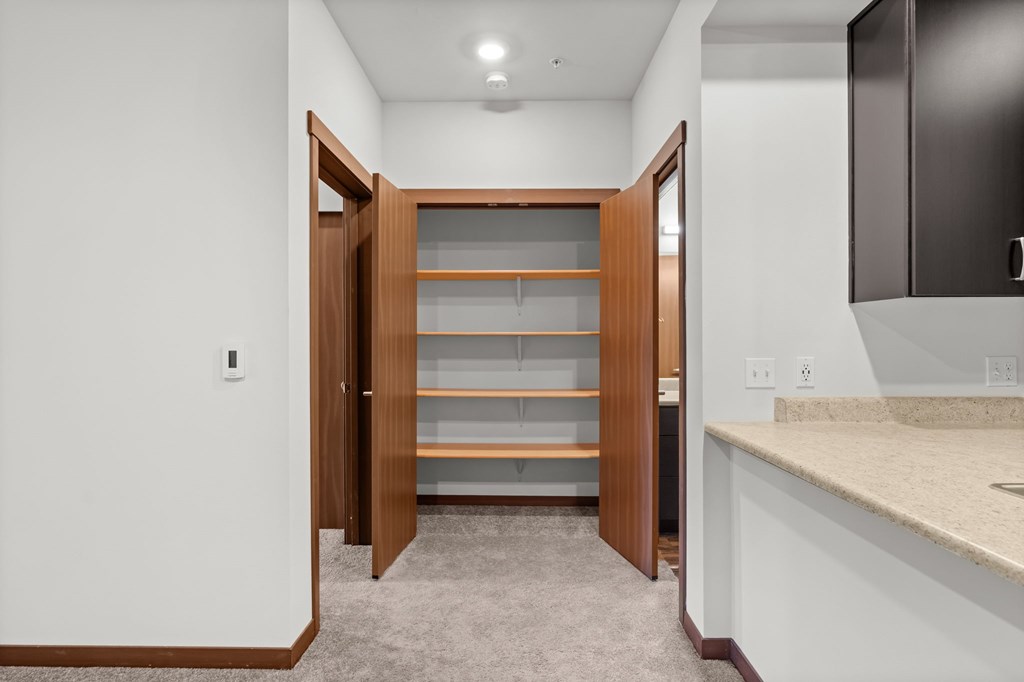 A kitchen pantry with a wooden door and shelves.