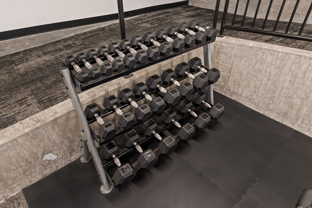 A rack of black dumbbells on a black mat in a gym.