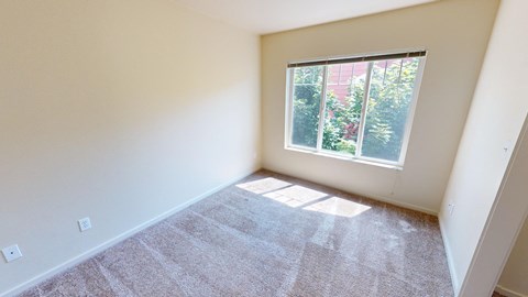 an empty room with a window and carpet