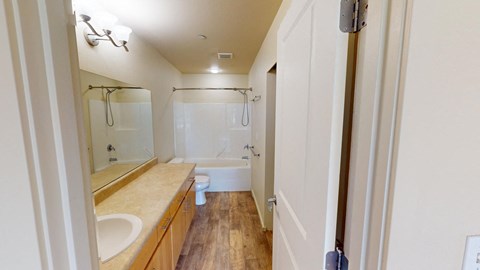 a bathroom with a sink and a toilet and a shower
