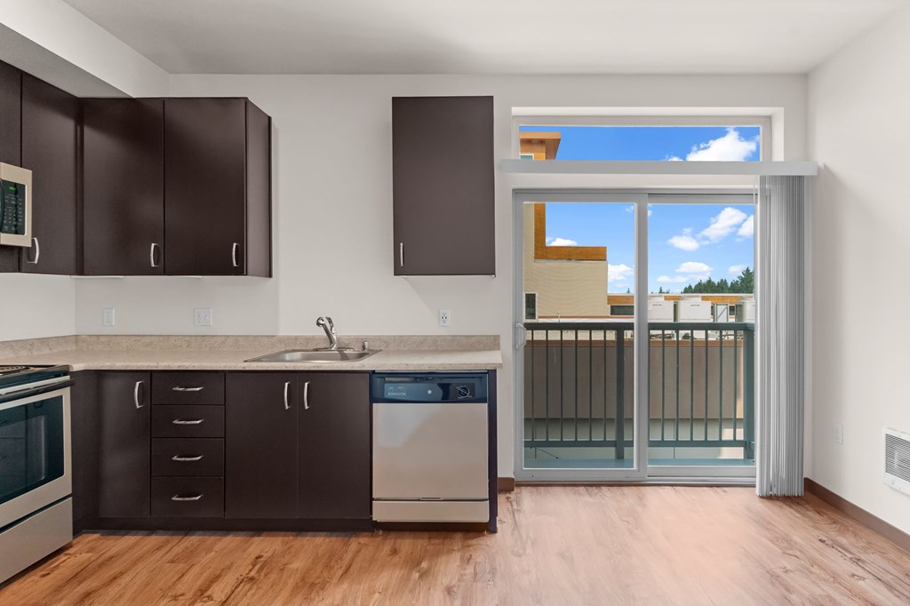 A modern kitchen with dark brown cabinets and a stainless steel dishwasher.