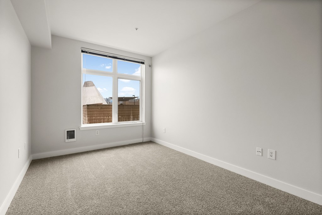 A room with a window and a carpeted floor.