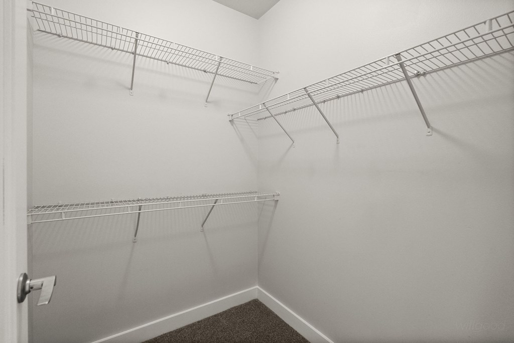A white closet with a carpeted floor and a door on the left.