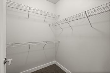 A white closet with a carpeted floor and a door on the left.