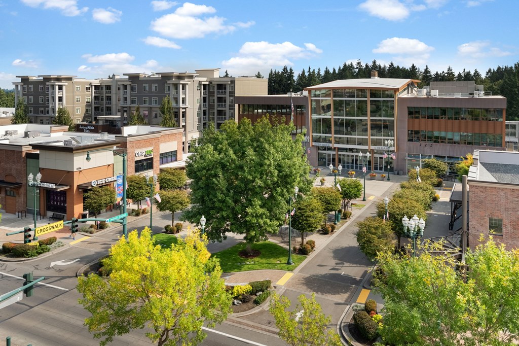 A view of a street with a green tree in the foreground and apartment buildings in the background.