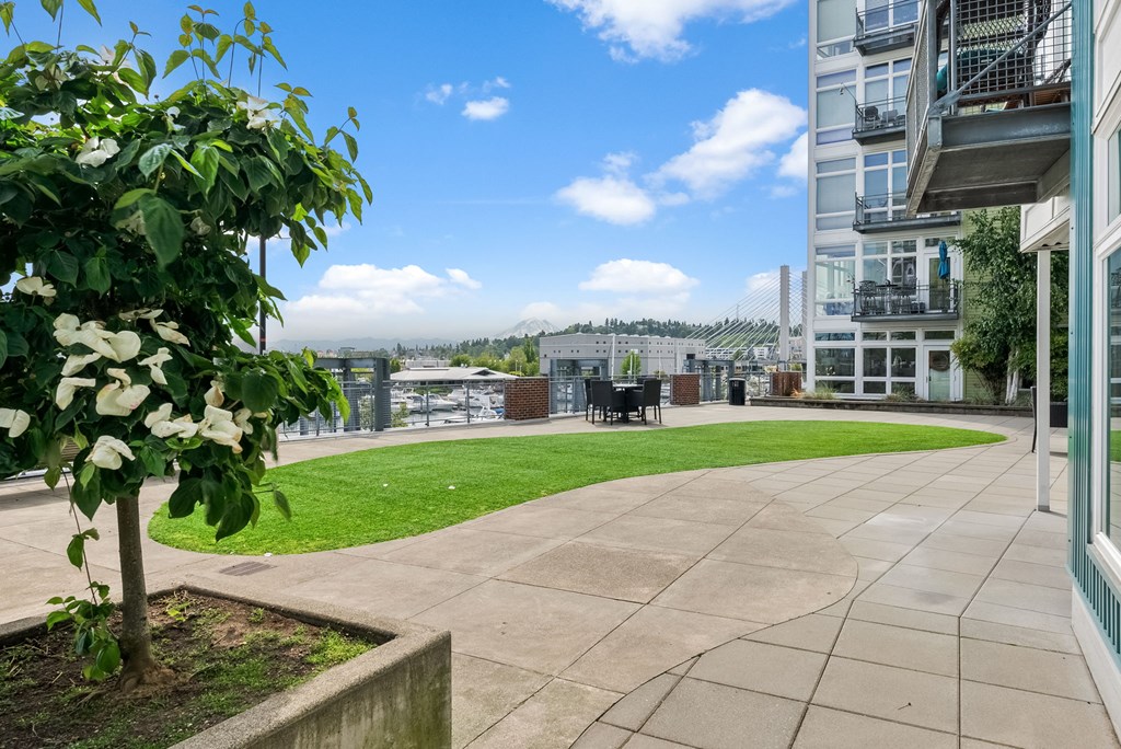A paved patio area with a tree and a building in the background.