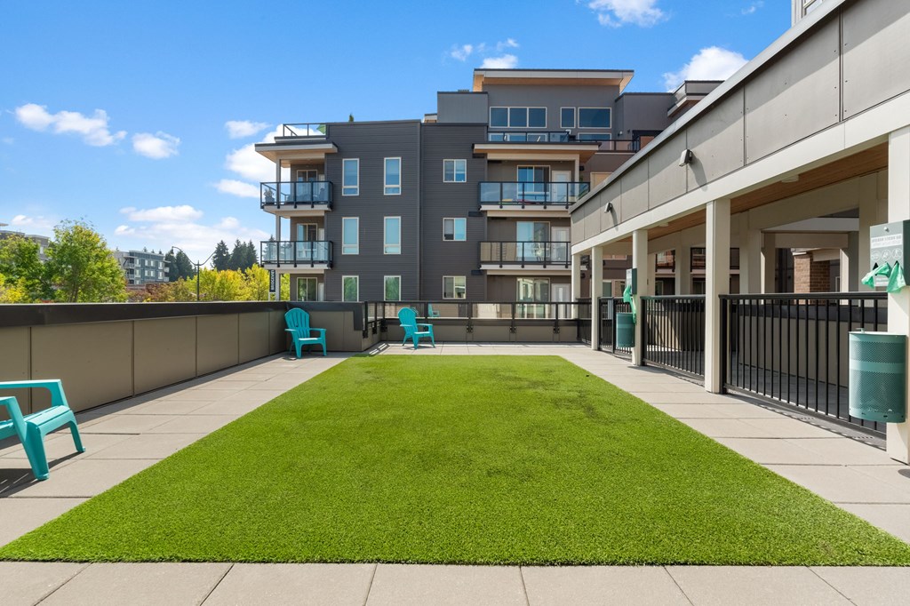 A grassy area in front of a building with blue chairs.