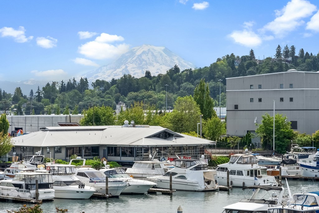 A marina with boats docked in front of a mountain.