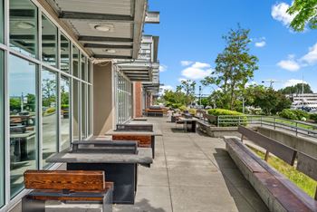 A long row of benches are lined up on a concrete walkway.