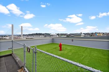 A soccer field with a red fire hydrant on the grass.